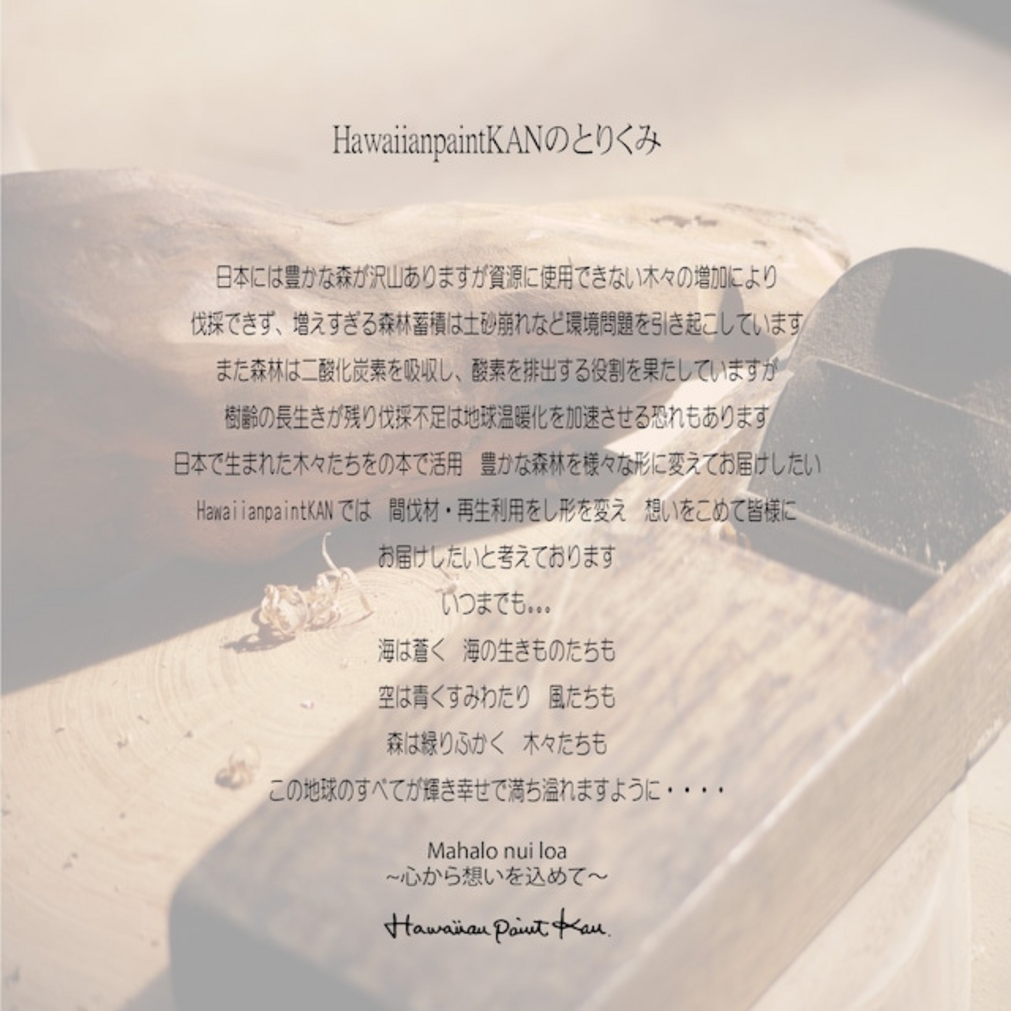 つみき BLOCK’S 50PCS　Name＆ Meesaage